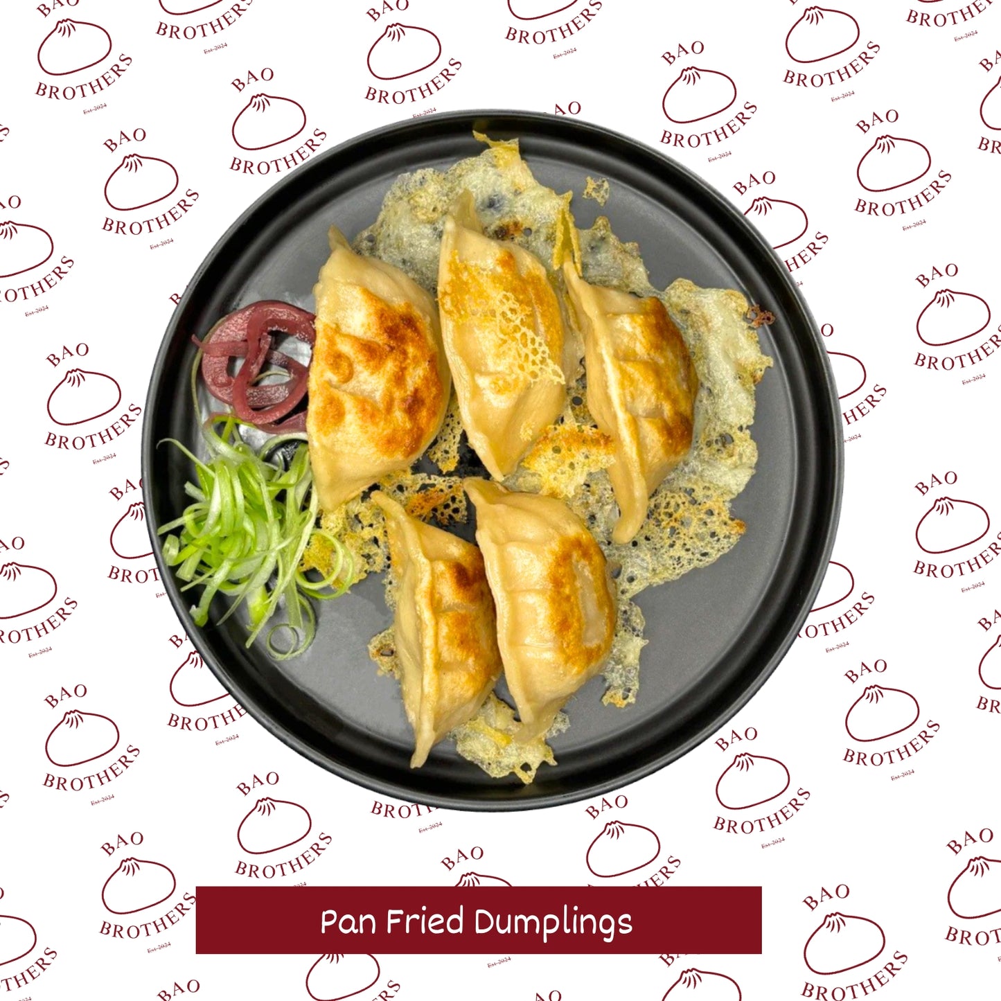 Pan Fried Chicken Dumplings