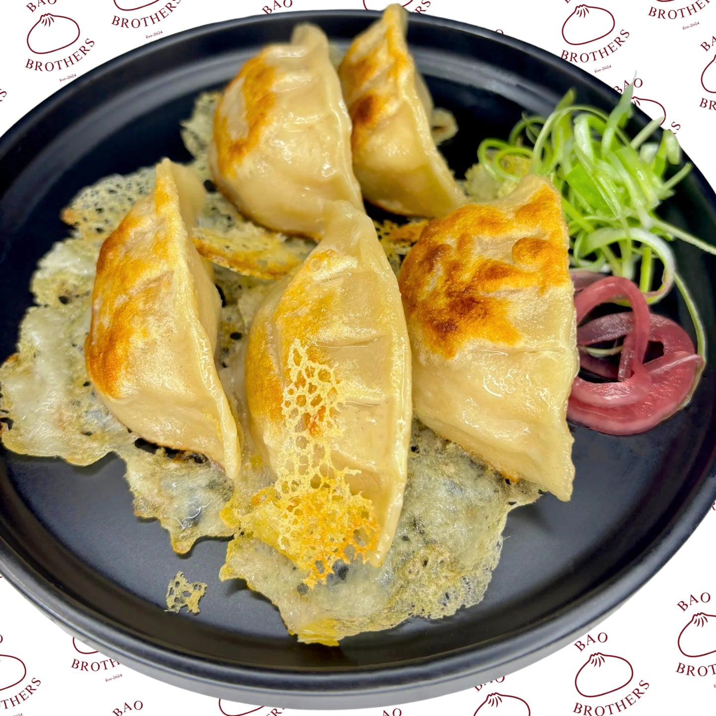 Pan Fried Chicken Dumplings